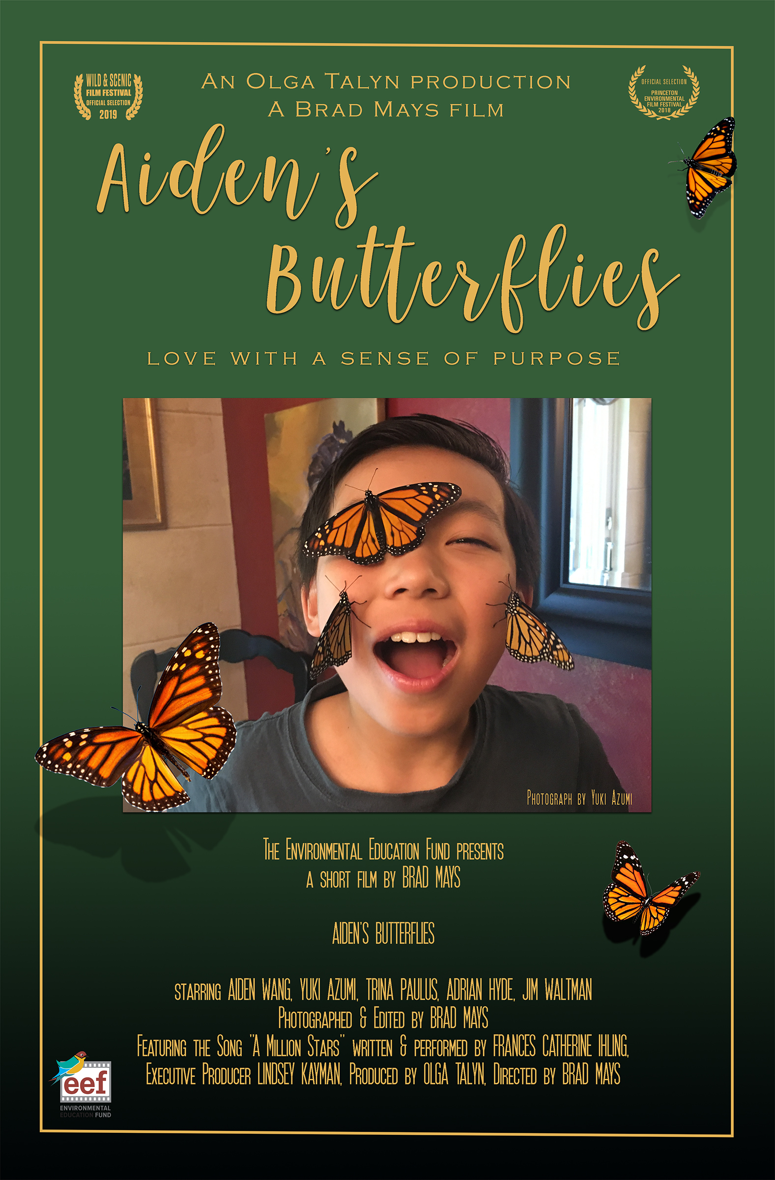 Aiden's Butterflies